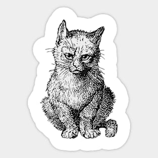 Little Kitten Sticker